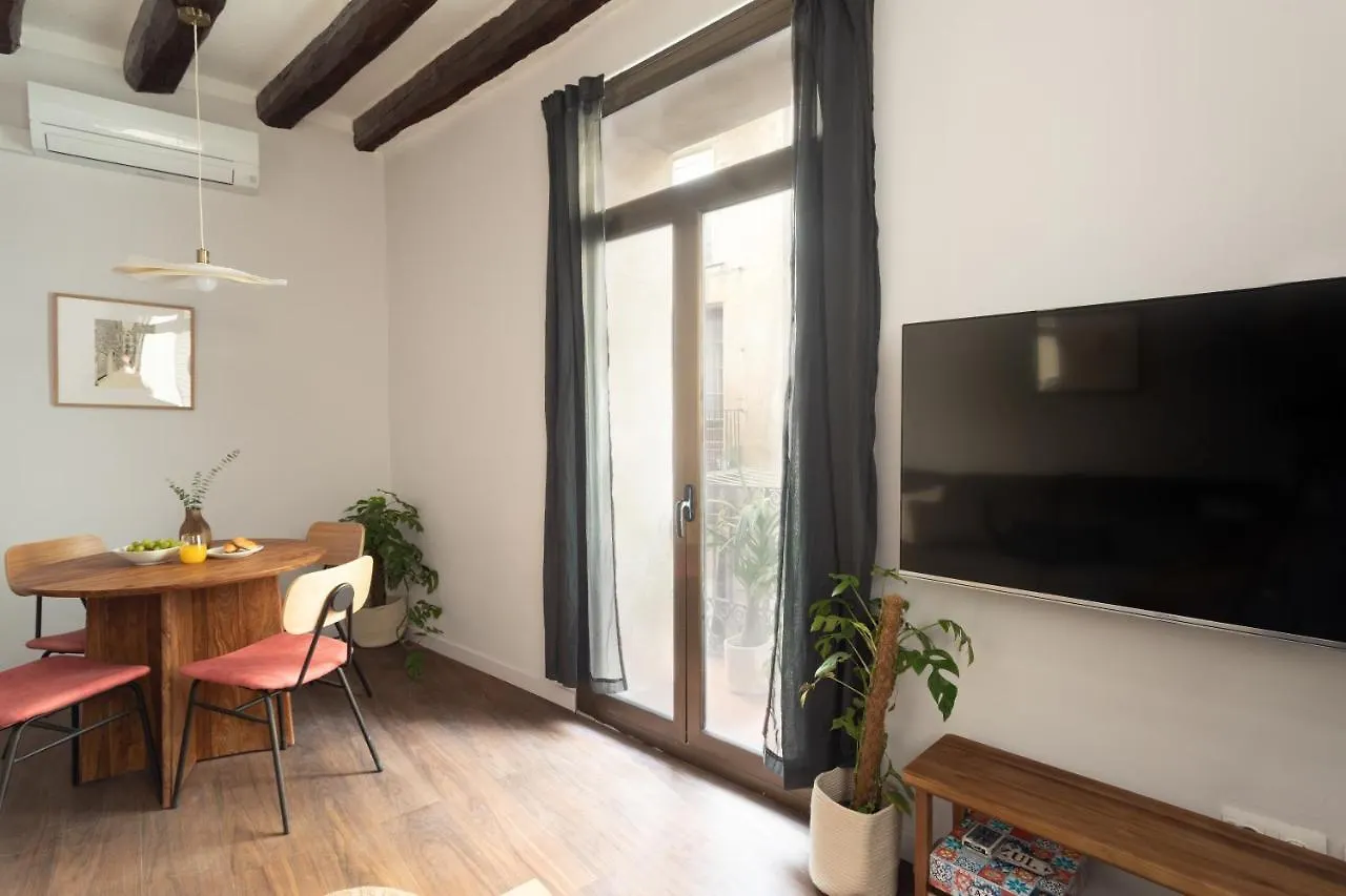 Barcelona Apartments In Born